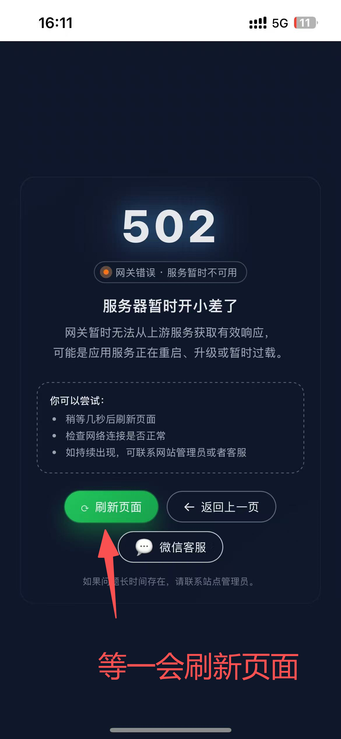 502 错误页面示例截图